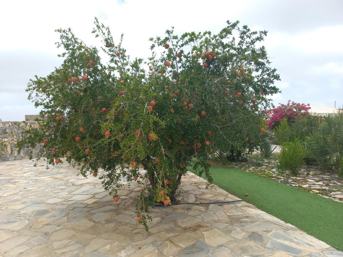 Jebel Shams Resort منتجع جبل شمس Dar Sawda Luaran gambar